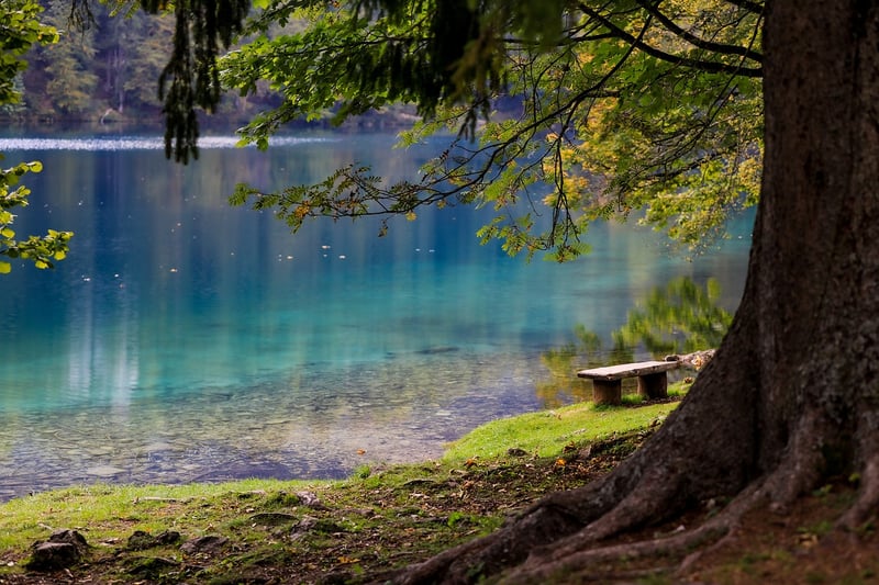 Serenity Havens