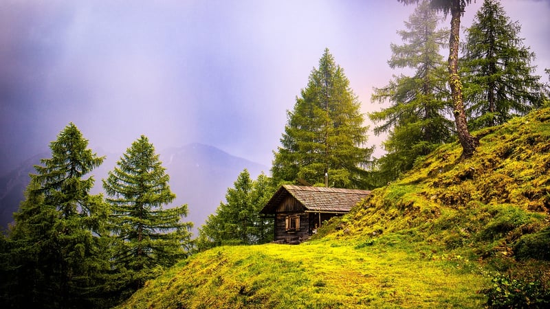 Cabin in the wilderness